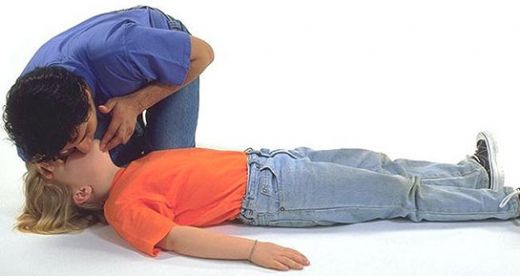 Suni Solunum Türleri ve Özellikleri