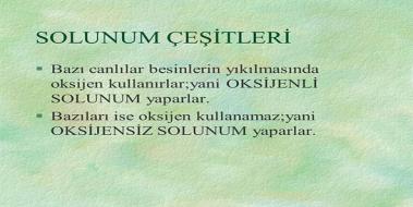 Solunum eitleri