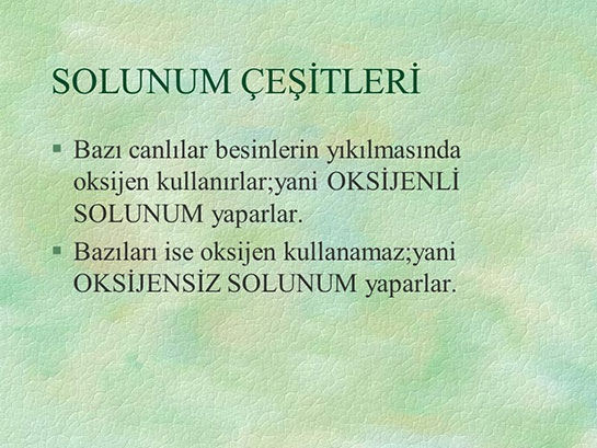 Solunum Çeşitleri Türleri ve Özellikleri