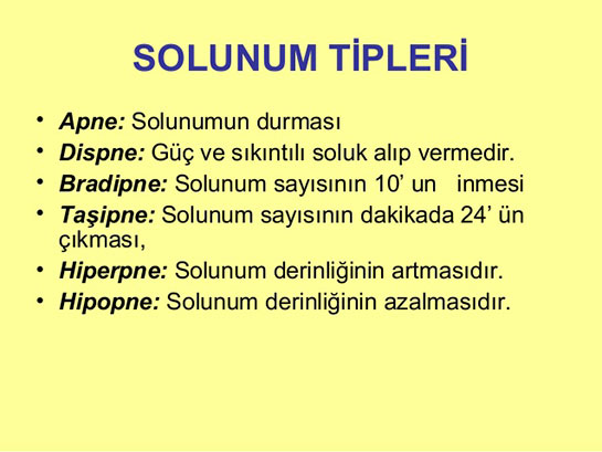 Solunum Tipleri Türleri ve Özellikleri