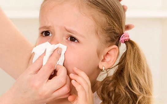 Üst Solunum Yolları Özellikleri ve Görevleri